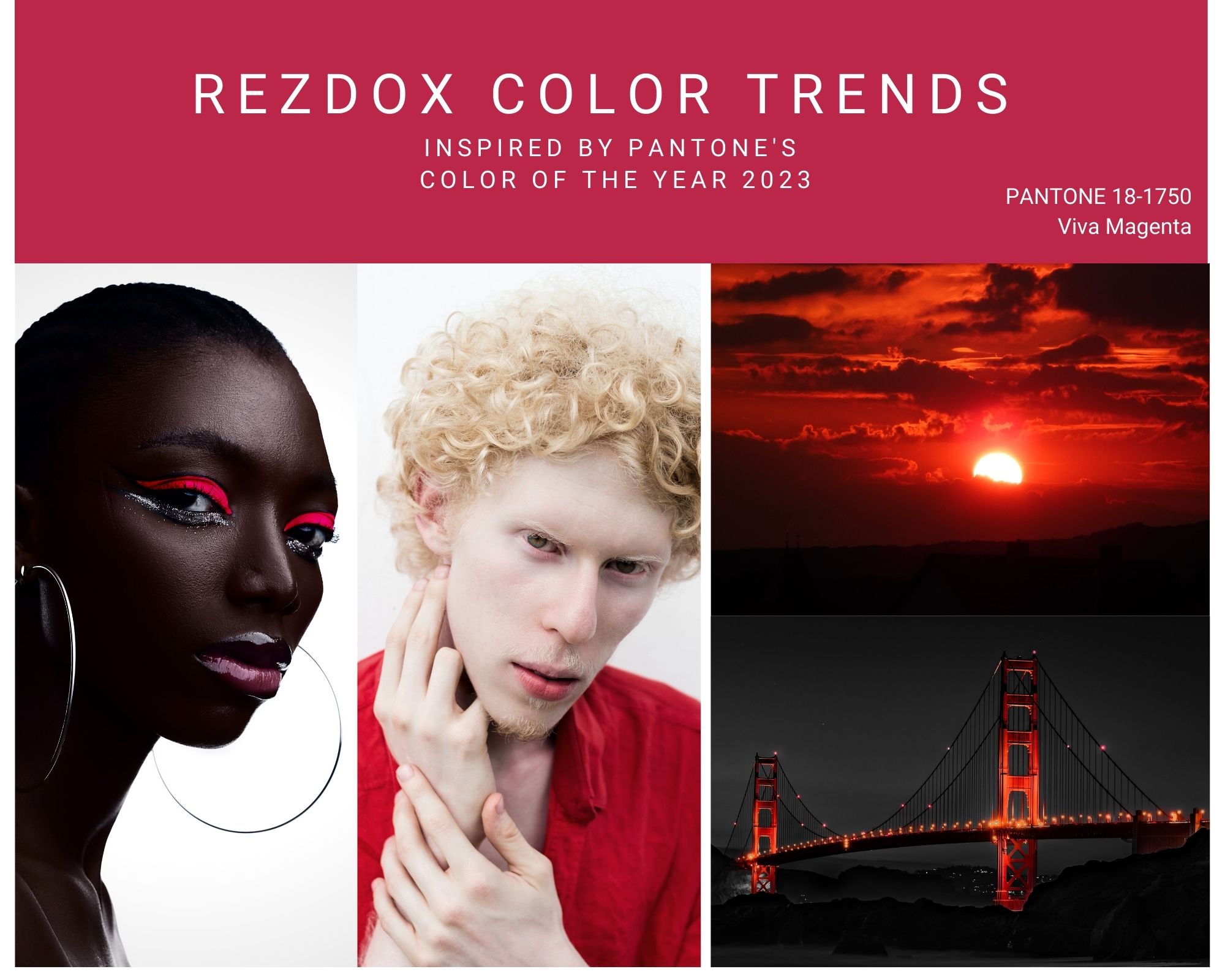 https://www.rezdox.com/binary/org/REZDOX/Blog%20Images/2023PantoneColoroftheYear.jpg