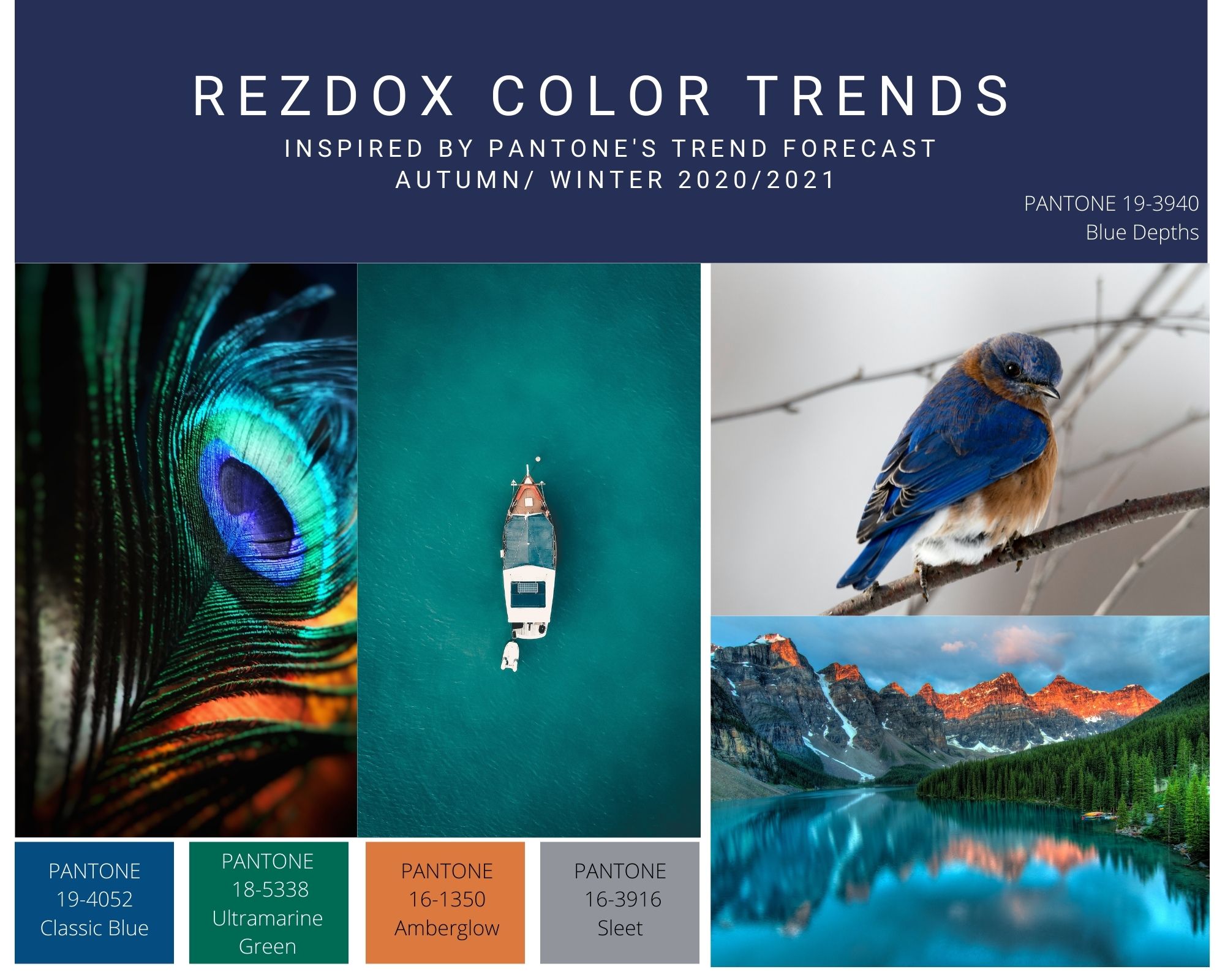 FallColorTrends2020Blue.jpg