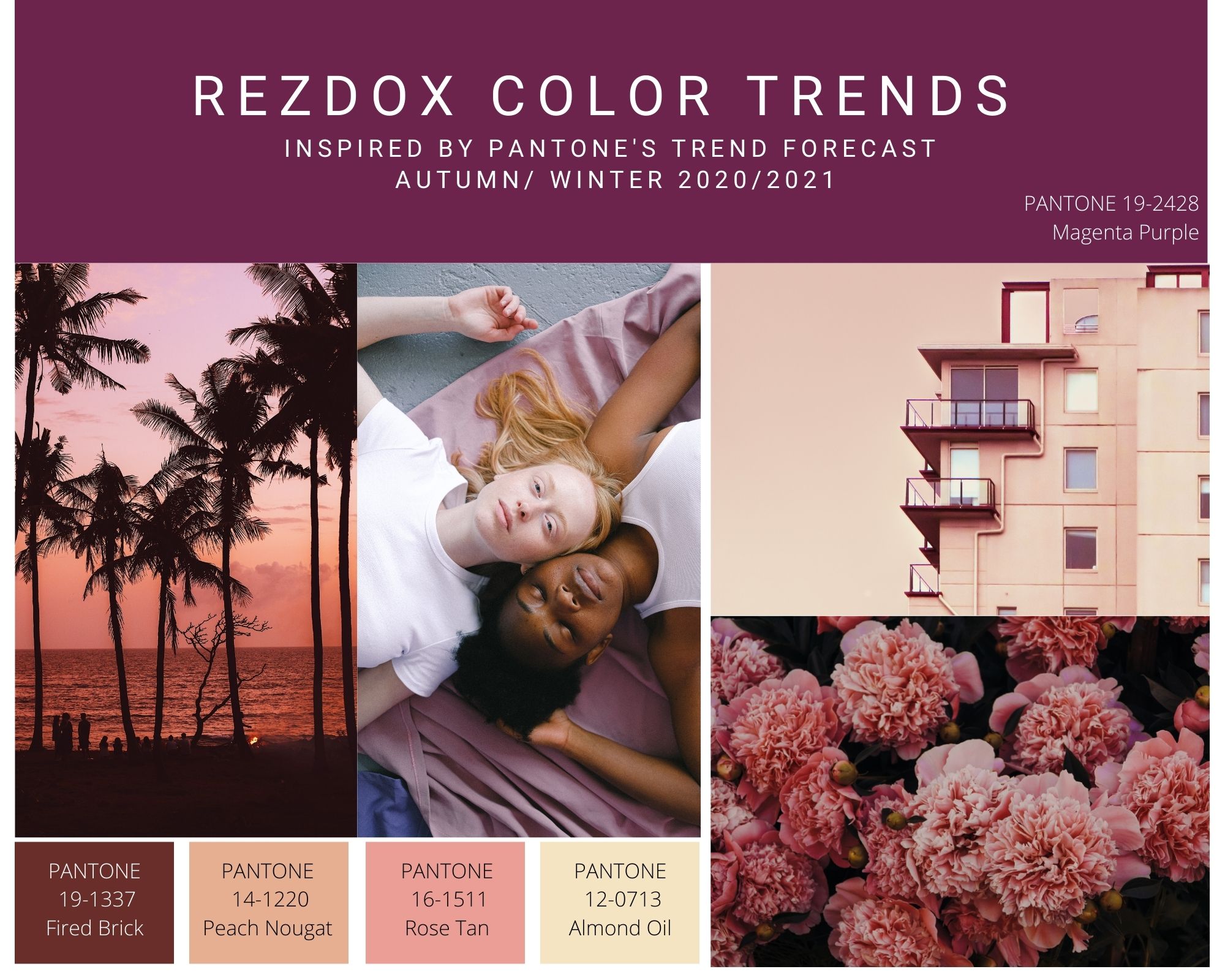 FallColorTrends2020Magenta.jpg