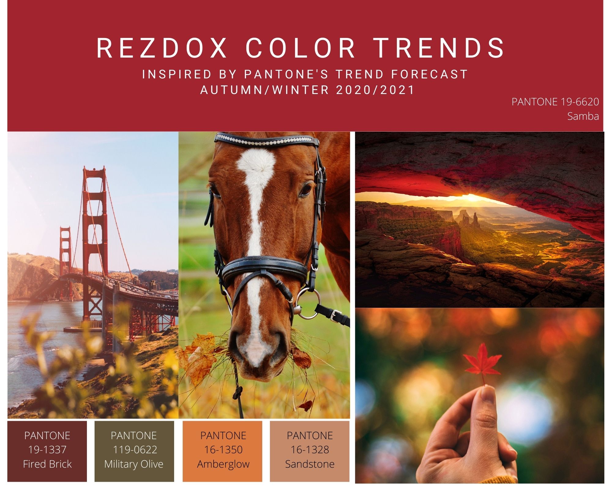 FallColorTrends2020Red.jpg